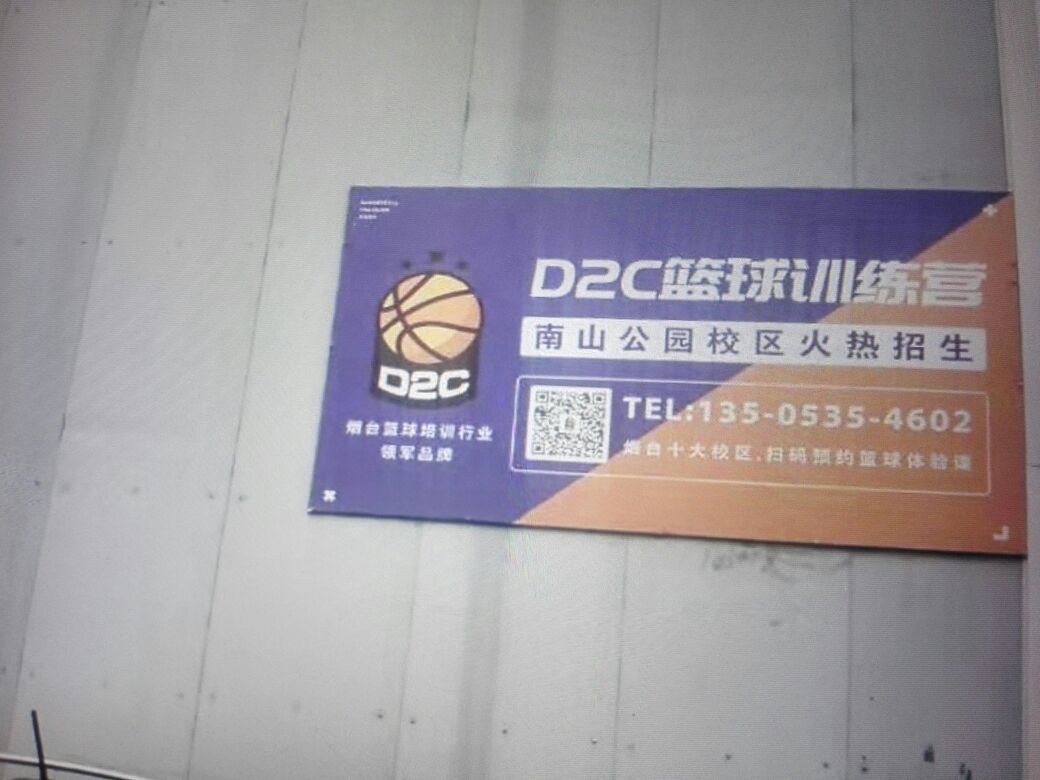 烟台开发区d2c篮球训练营在哪